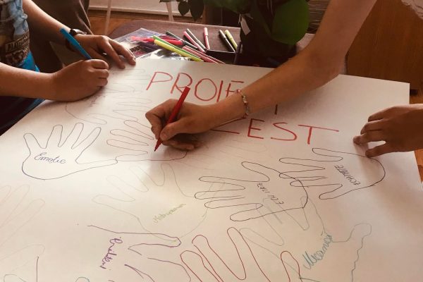 proiect zest1 proiect zest1